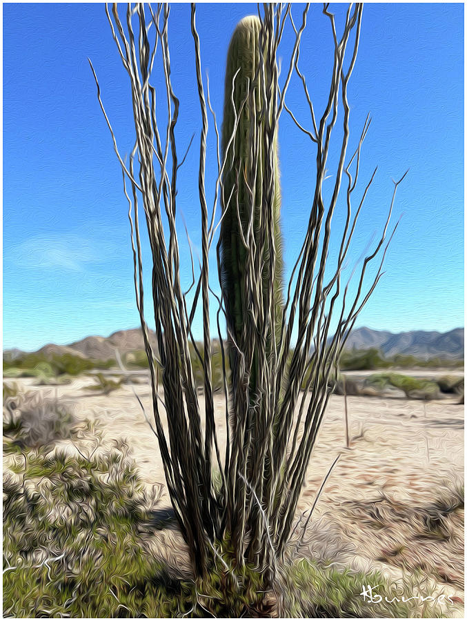 Desert Landscape Mixed Media - A Dance of Ocotillo and Cactus by Kelley Burnes