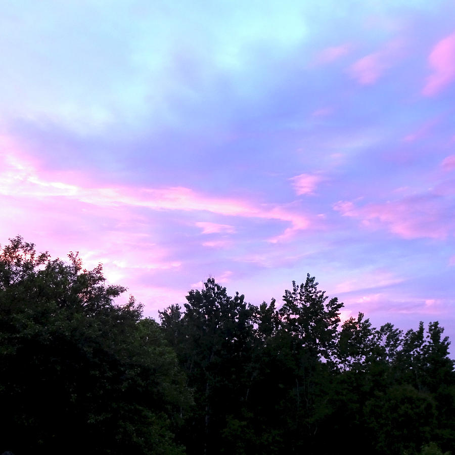 A Dawn Of Pink And Purple Photograph by Catherine Arcolio