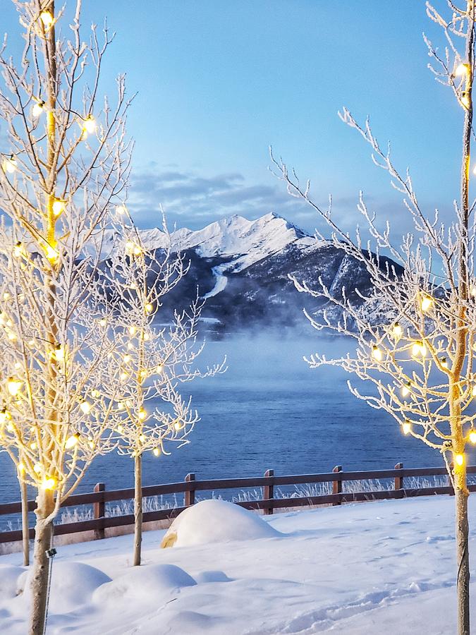 A Winters Day In Colorado Photograph by Fiona Kennard