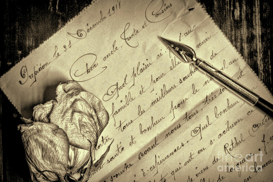 Vintage Photograph - A Dead Rose and the Written Word Retro by Paul Ward