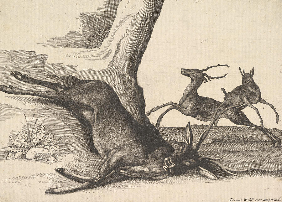 A Dead Stag Relief by Wenceslaus Hollar