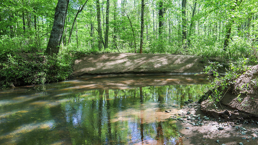 A Deep Forest Green Creek Photograph by Ed Williams