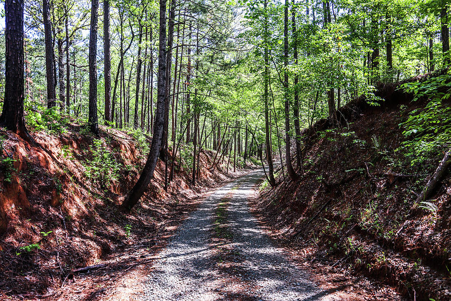 A Deep Trench Gravel Road Photograph by Ed Williams