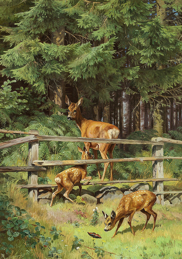 Deer Painting - A Deer Calf Looking at a Butterfly by Adolph Mackeprang