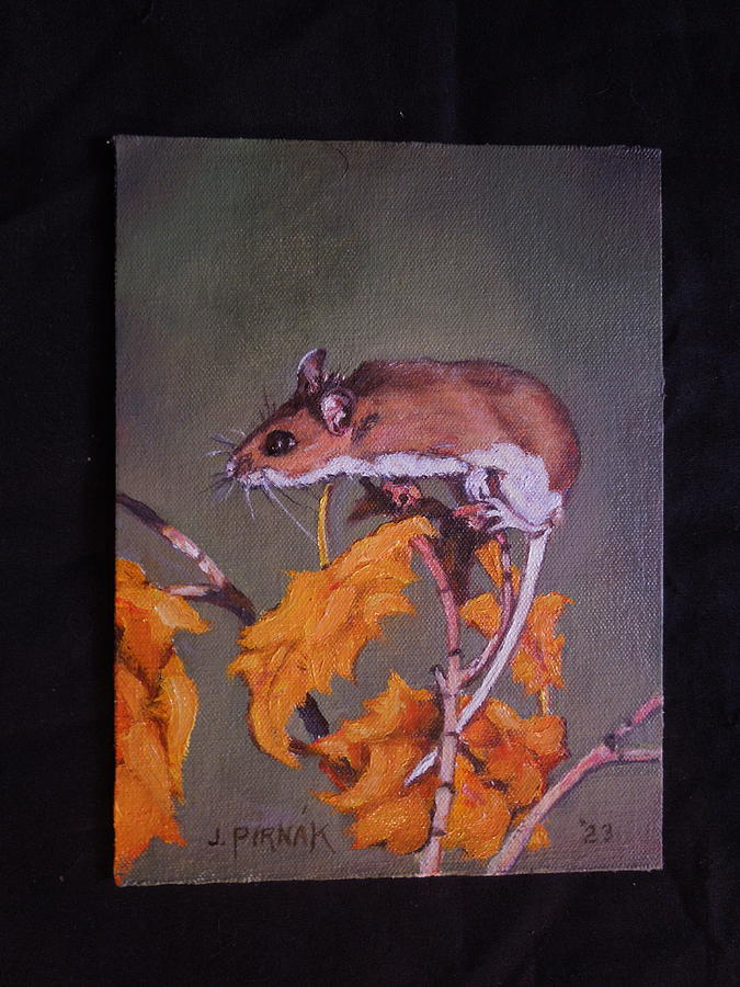 A deer mouse and winters coming Painting by John Pirnak