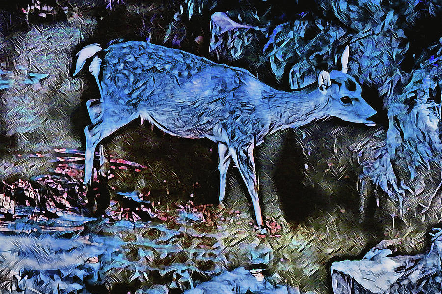 A deer New World Digital Art by Dennis Baswell