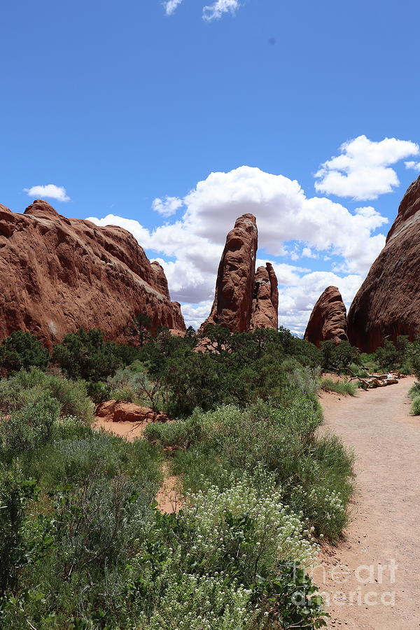 A Delightful Arches Park View Photograph by Christiane Schulze Art And Photography