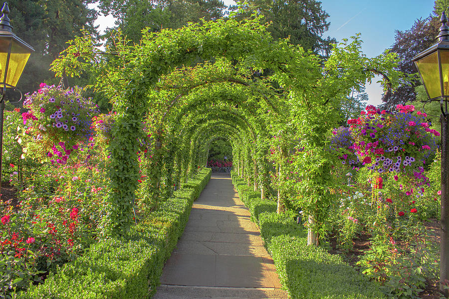 A Delightful Path Photograph by Leola Durant - Fine Art America