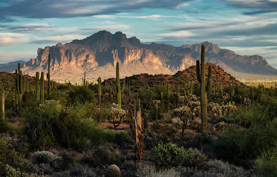 A Desert Sunset Walk Photograph by Saija Lehtonen - Fine Art America