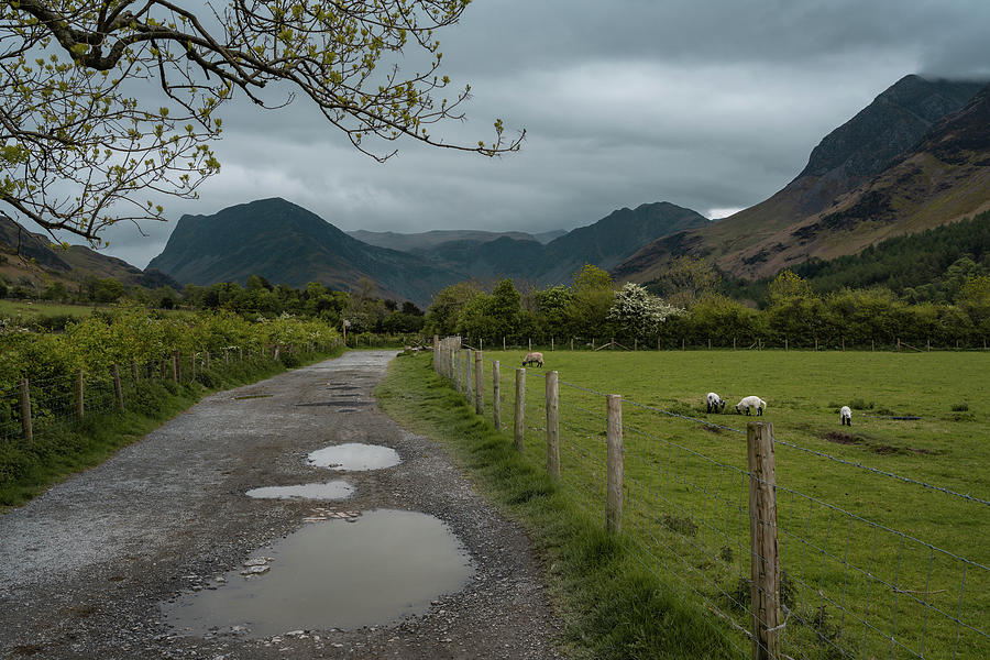 A dirt road to the Buttermere lake in Cumbria, England Photograph by Anges Van der Logt