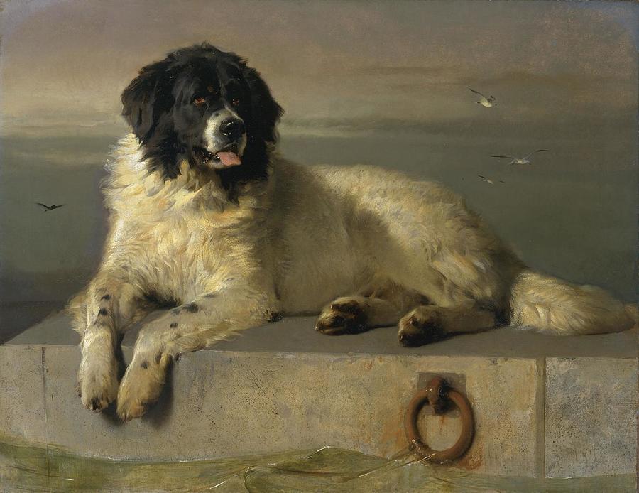  A Distinguished Member of the Humane Society Painting by Edwin Landseer