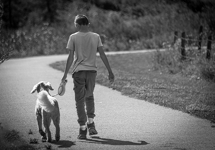 Black And White Photograph - A Dog and Her Boy by Phil And Karen Rispin