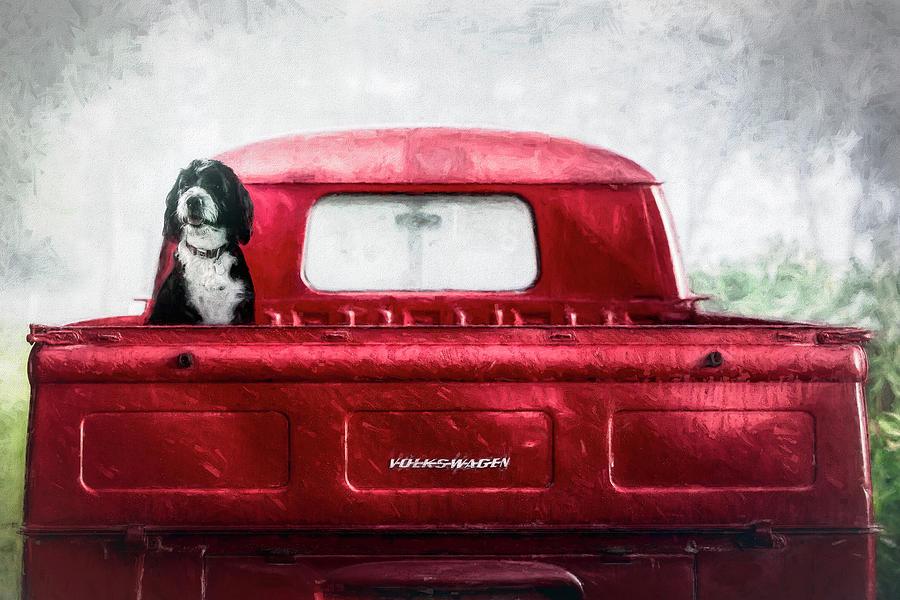 A Dog and his Truck Photograph by Deborah Penland