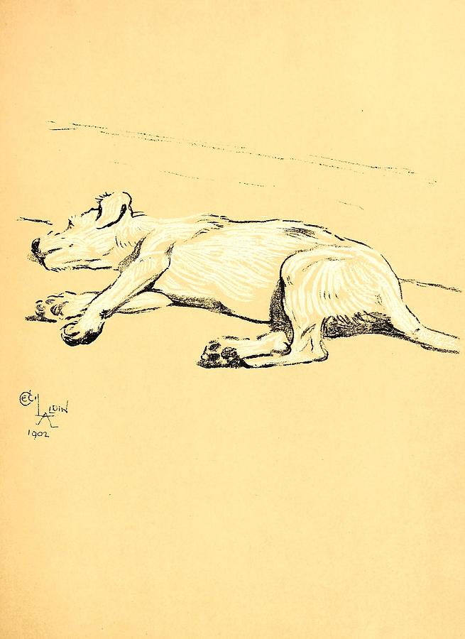 dead dog drawing
