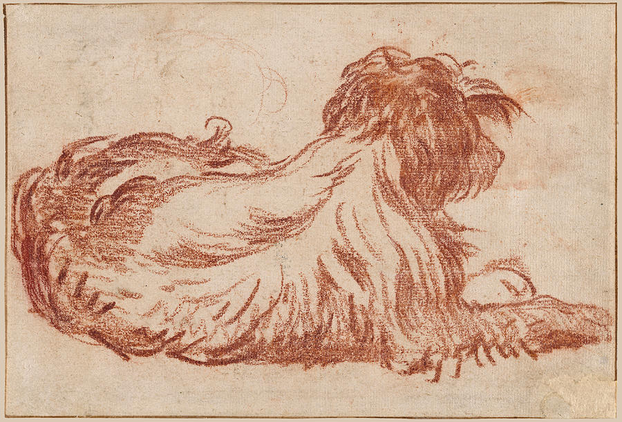 A Dog  Drawing by Jean-Baptiste Greuze