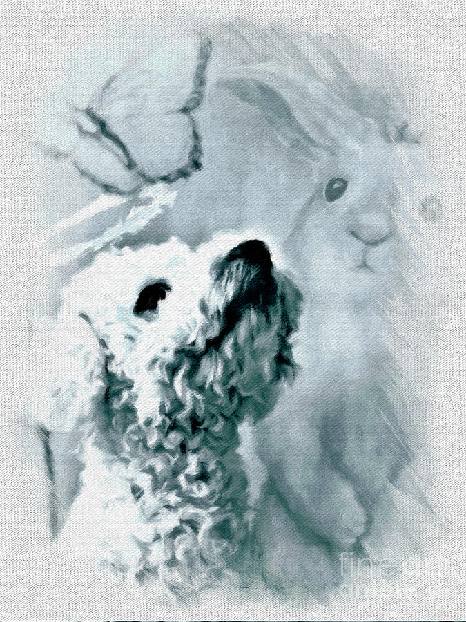 A Dogs Dreamstate Digital Art by Lauries Intuitive