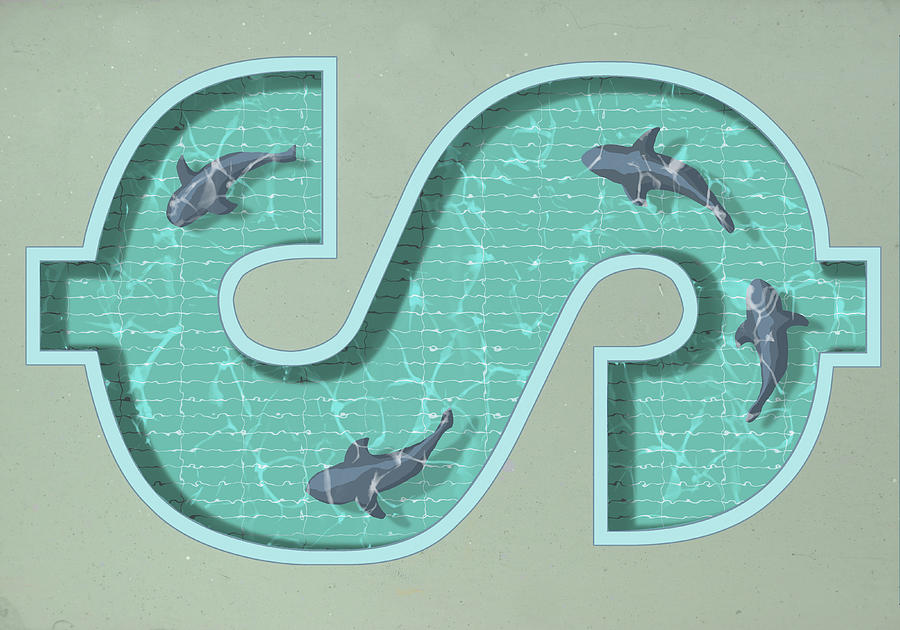A dollar sign shaped swimming pool with four sharks swimming in it Drawing by Malte Mueller
