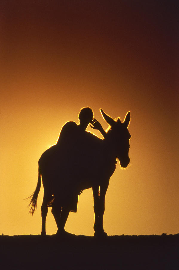 A donkey and his master, Merzouga Photograph by Izzet Keribar