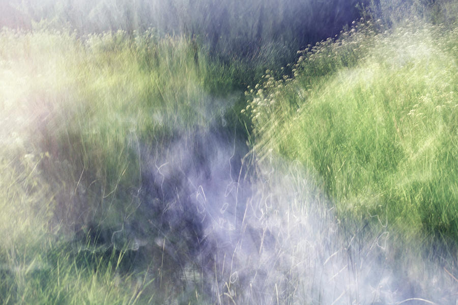 A Dorset Chalk Stream Photograph by Jo Stephen - Fine Art America