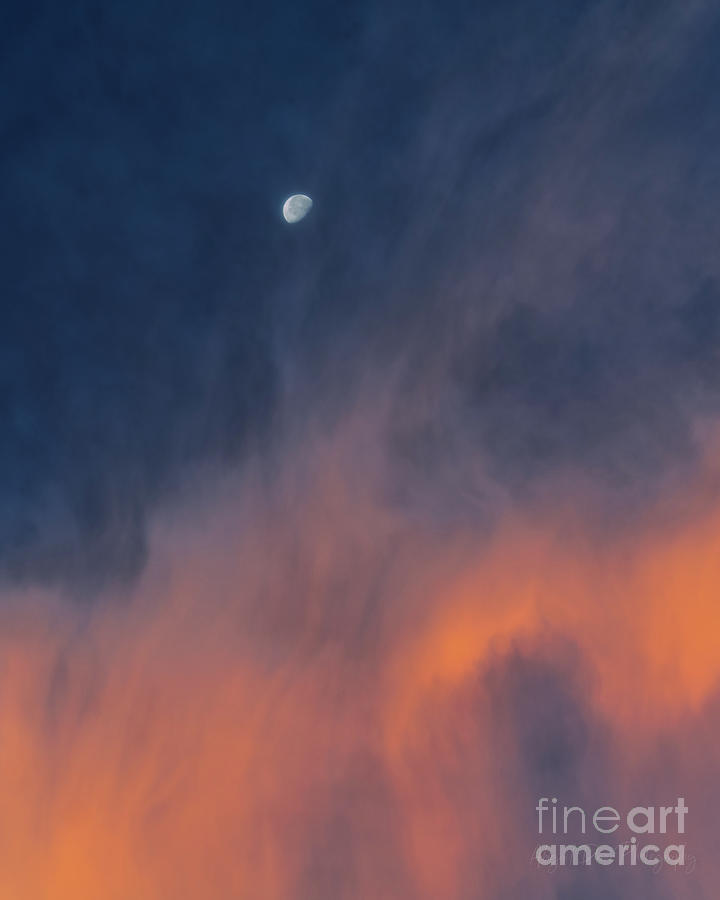 A dreamy nights sky Art Print Photograph by Abigail Diane Photography