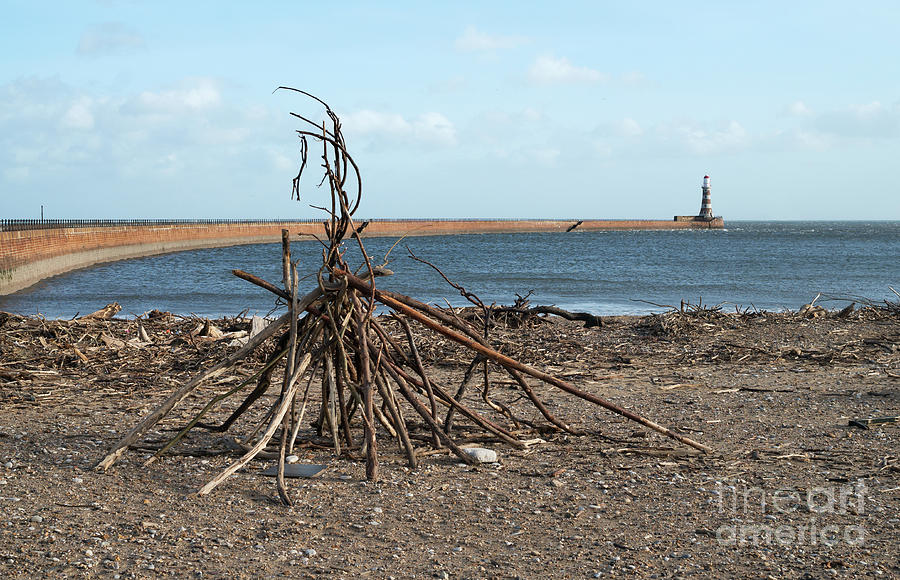 A driftwood stack on Roker beach Photograph by Bryan Attewell