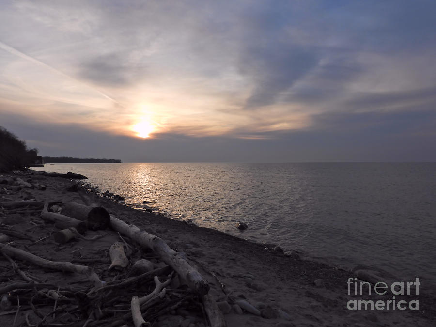 A Driftwood Sunset March 21, 2023 Photograph by Sheila Lee Fine Art