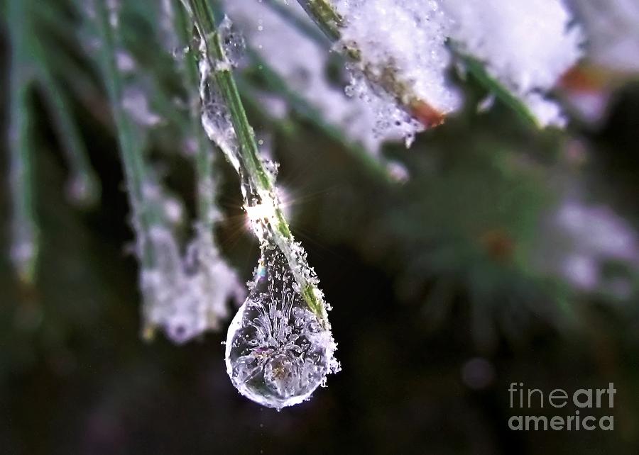 Winter Photograph - A Drop In The Ice Bucket by Lori Lafargue