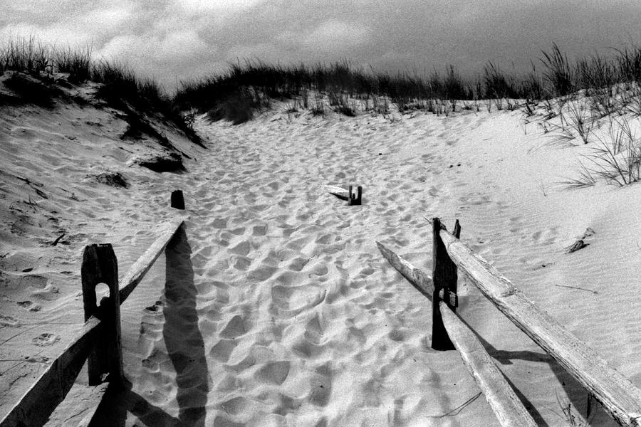 A Dune Consuming a Fence, Island Beach State Park, New Jersey Photograph by Stephen Russell Shilling