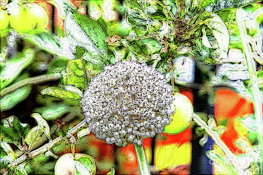A Echinops on a Klimt style Photograph by Pics By Tony