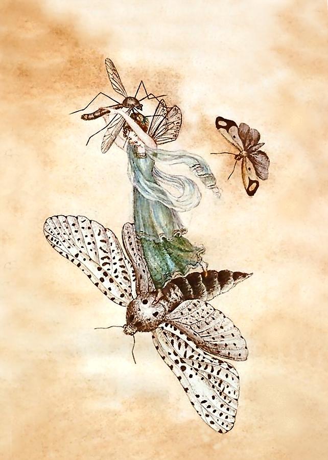 A Fairy Riding on a Bee Digital Art by Patricia Keith | Pixels