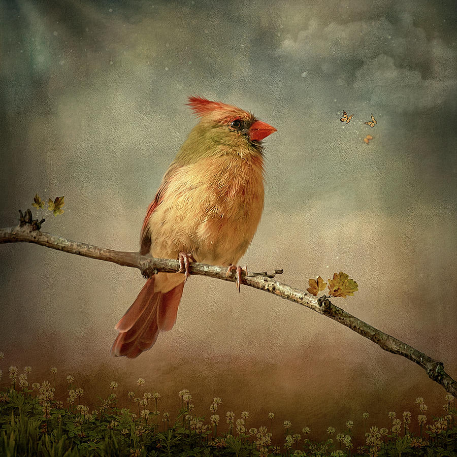 A Fall Cardinal Digital Art by Maggy Pease