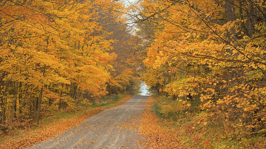 A Fall Drive Photograph by CR Courson