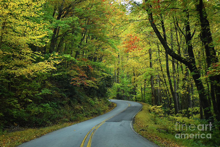 A Fall Drive Photograph