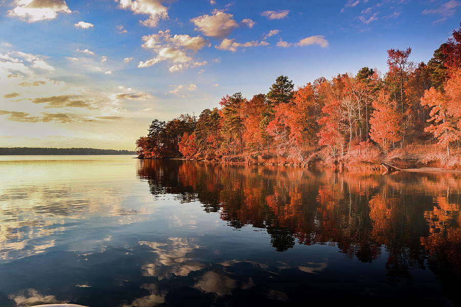 A Fall Lake Look  Photograph by Ed Williams