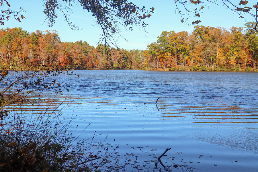 A Fall Level Eye Lake Photograph by Ed Williams
