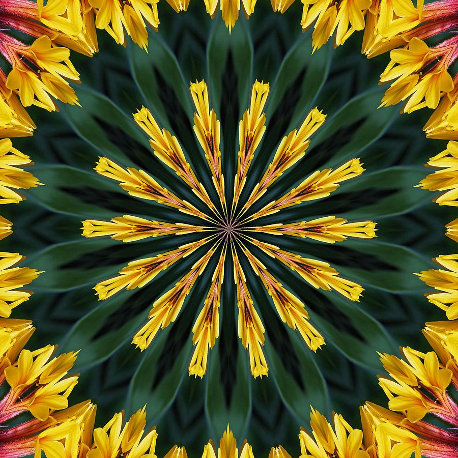 A Fanfare of Flowers Digital Art by Taiche Acrylic Art