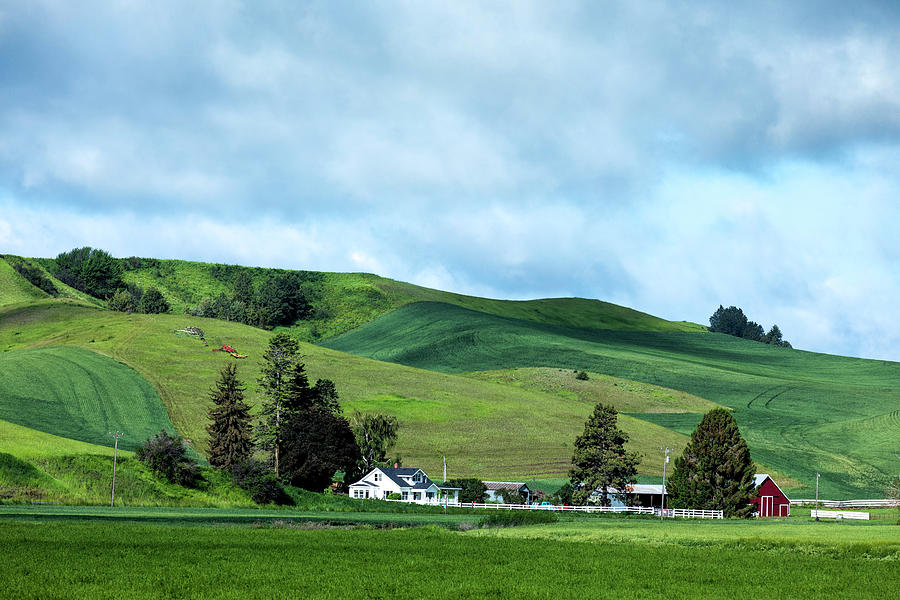 A Farm in the Palouse Photograph by Lindley Johnson - Fine Art America