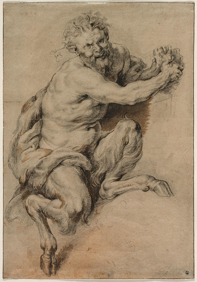 A Faun Grasping a Bunch of Grapes Drawing by Peter Paul Rubens