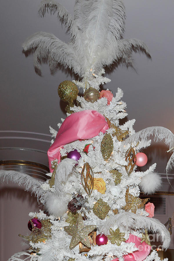 A feathery Christmas tree topper Photograph by Nina Prommer