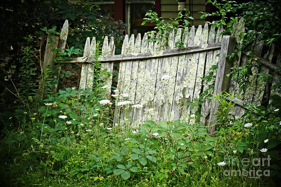 A Fence in Fleischmanns Photograph by Sarah Loft