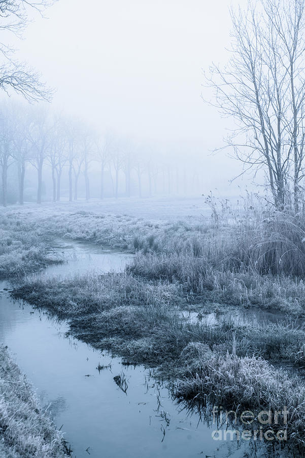 A Field in Winter Photograph by David Lichtneker