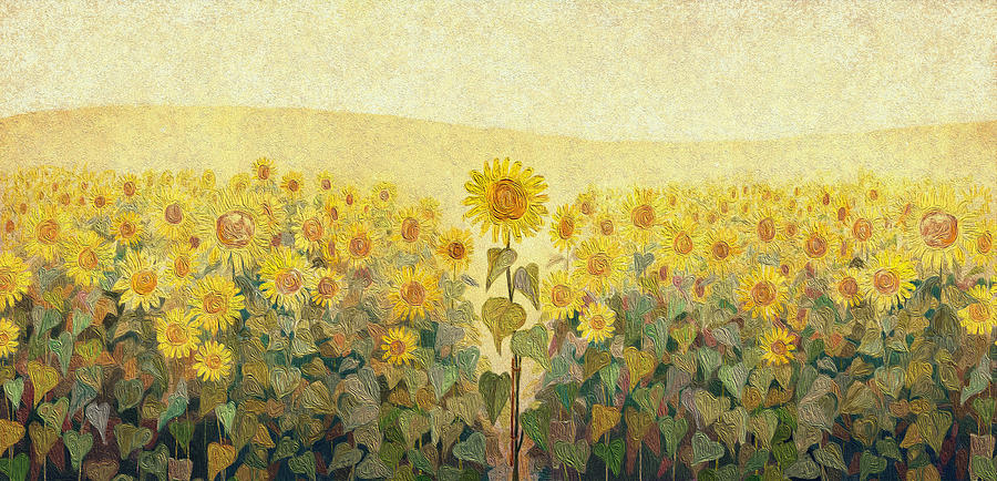 Sunflower Drawing - A field of sunflowers. Oil painting texture. by Julien