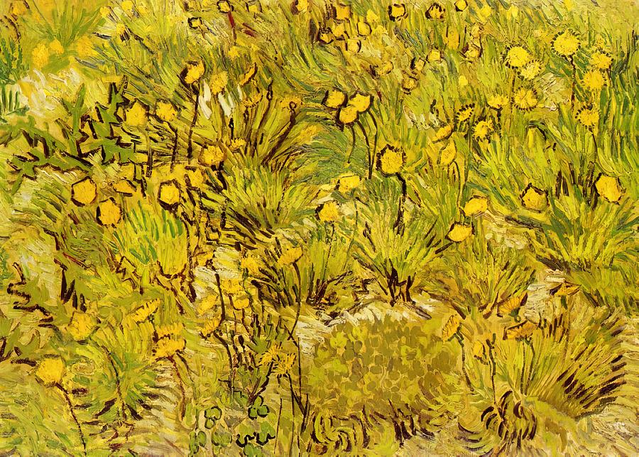 A Field of Yellow Flowers - Vincent van Gogh Painting by PrintPerfect ...