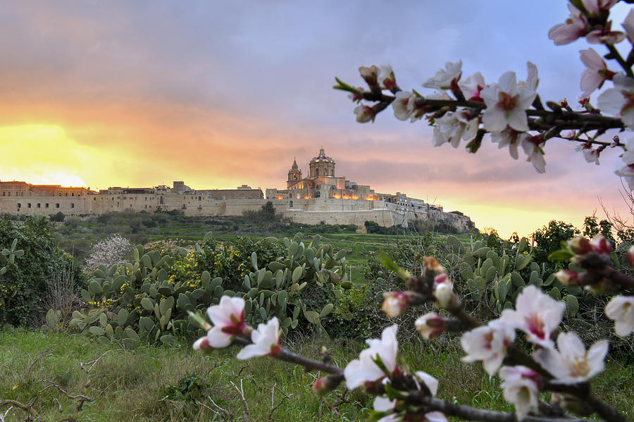 A fiery sunset over Mdina, Malta Photograph by Malcolm_grima
