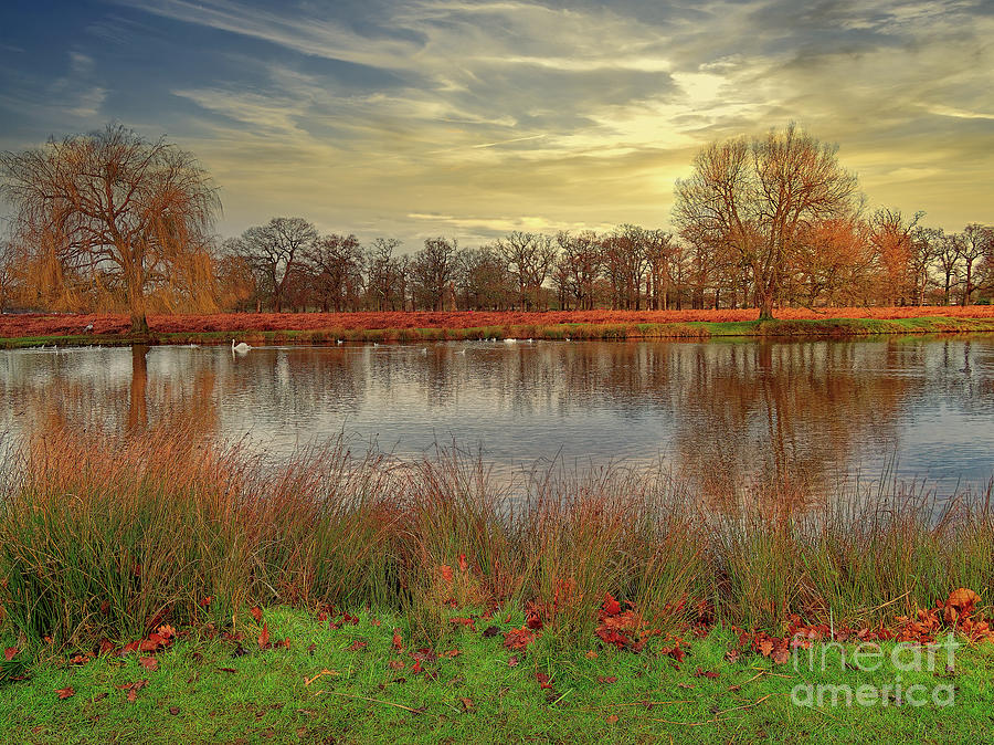 Bushy Park Photograph - A Final Shot Of The Lake by Leigh Kemp Bushy Park Photograph - A Final Shot Of The Lake by Leigh Kemp