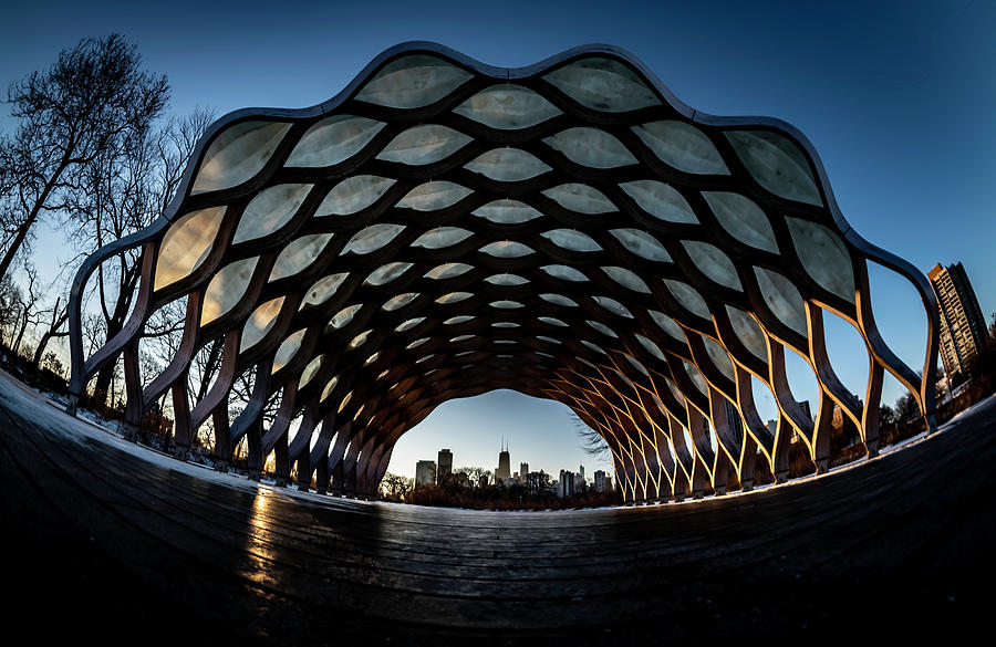 A fisheye view of Chicagos Lincoln Park. Education Pavilion Photograph by Sven Brogren