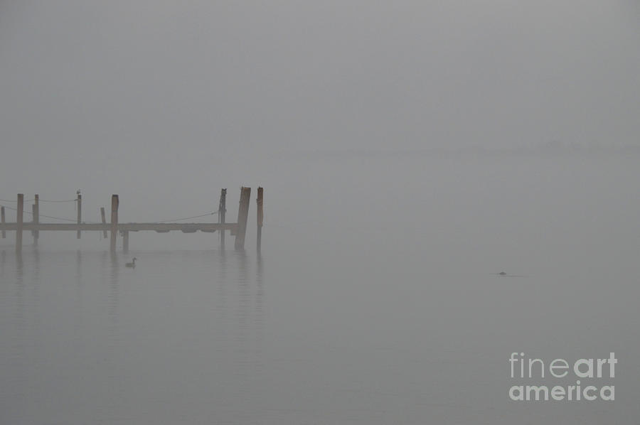 A Fishing Pier In The Fog May 23, 2020 Photograph by Sheila Lee