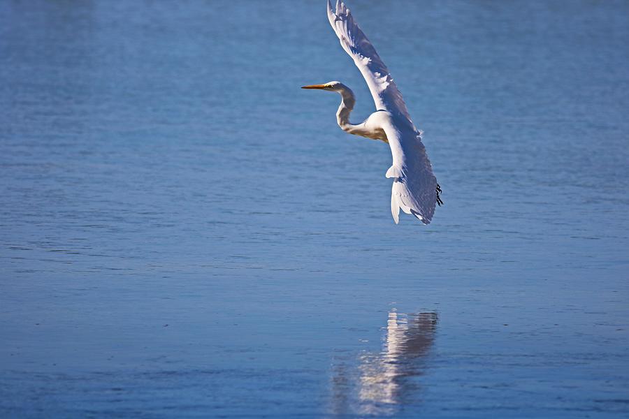 A Flexible Perspective Photograph by Michiale Schneider - Fine Art America