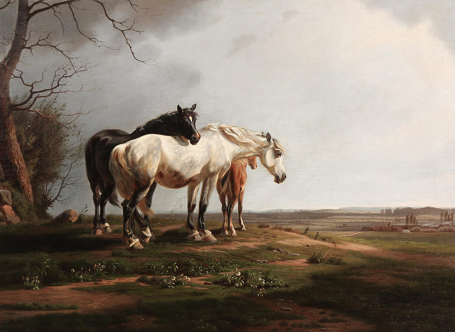 A Flock Of Horses In A Field In The Sun Painting By Adolf Mackeprang 