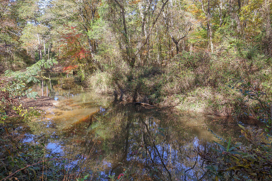 A Flovilla Forest Creek Photograph by Ed Williams